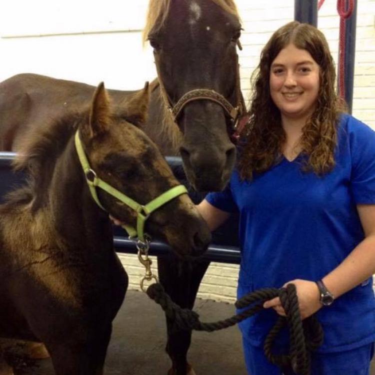 Elk Valley Veterinary Hospital Elkview, WV