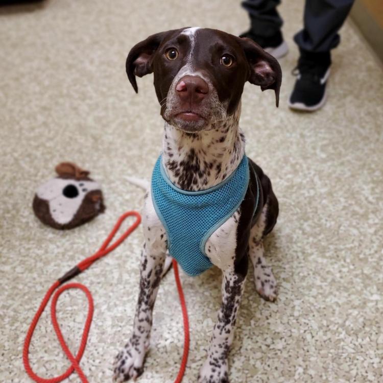 practice gallery photo