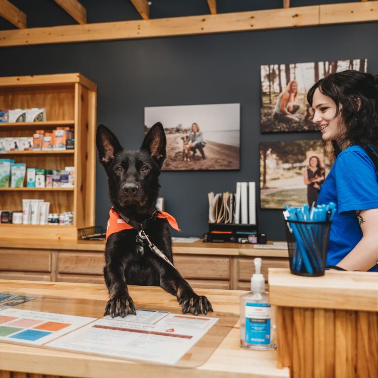 practice gallery photo