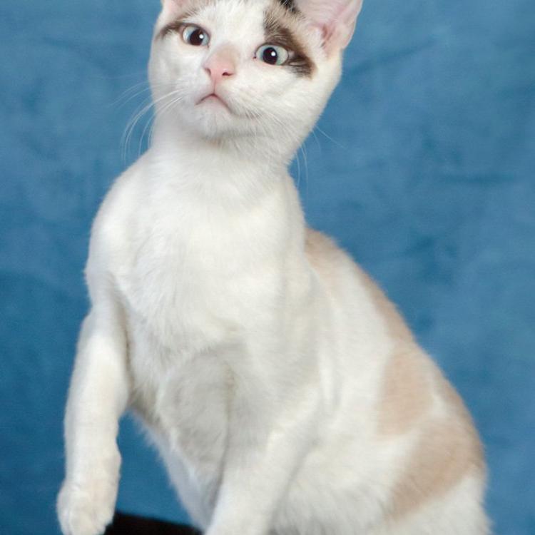 practice gallery photo