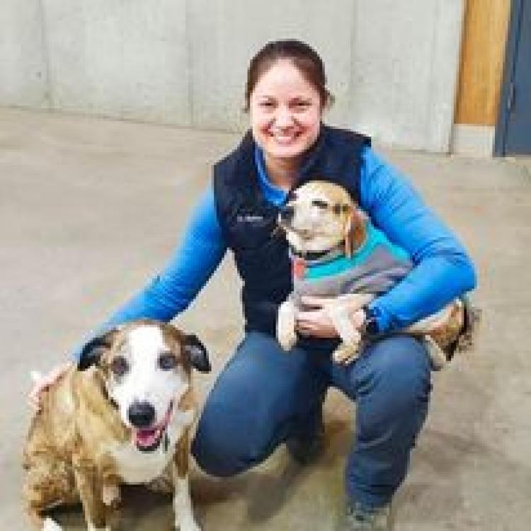 Red Oak Animal Hospital – Bucyrus, KS Red Oak Animal Hospital – Bucyrus, KS