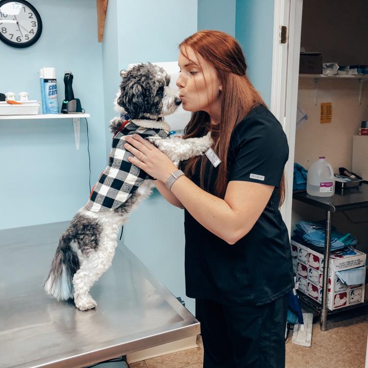 Advanced Animal Care Berea Berea, KY