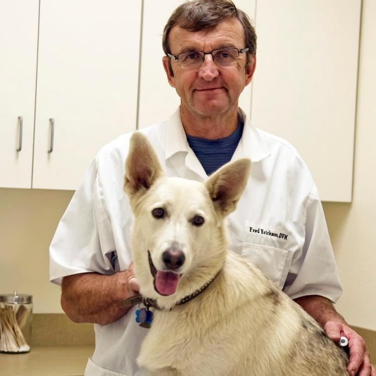 Central Valley Veterinary Clinic Chowchilla, CA