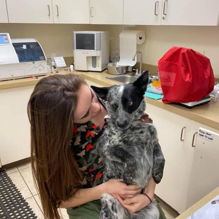 Central Valley Veterinary Clinic Chowchilla, CA