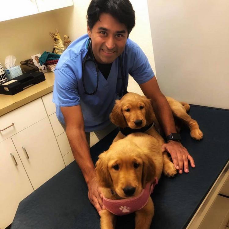 Central Valley Veterinary Clinic Chowchilla, CA