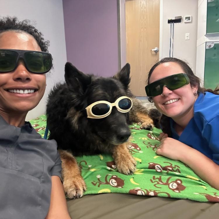 practice gallery photo