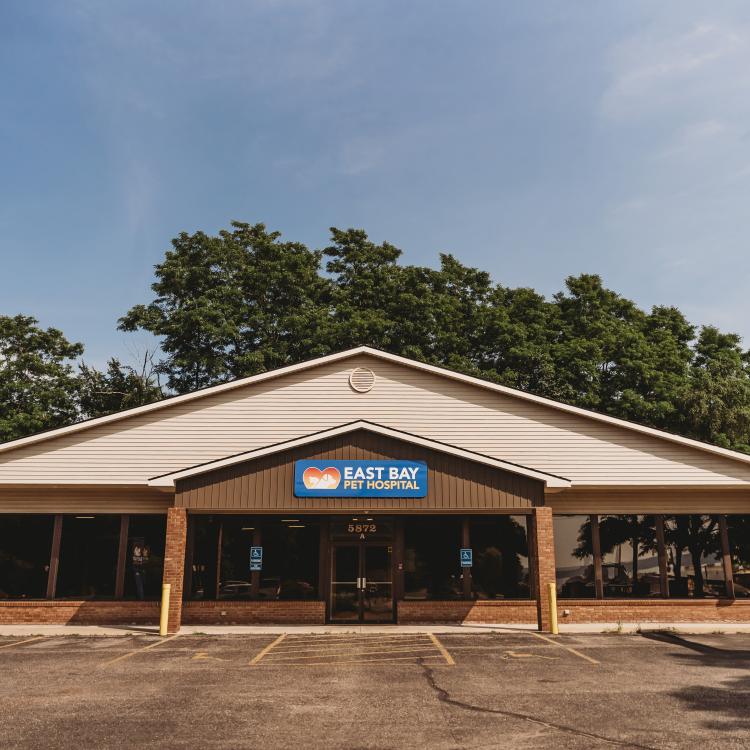 practice gallery photo