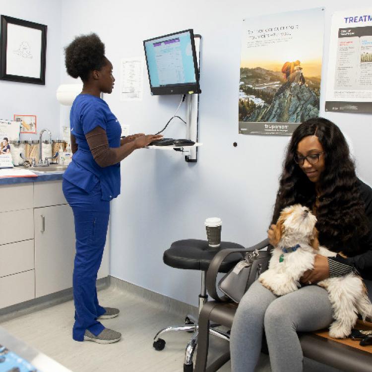 Vitality Veterinary Services Kennesaw Kennesaw, GA