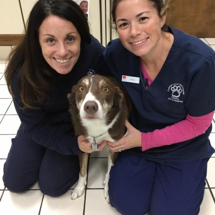 Coventry Animal Hospital – Pottstown, PA Coventry Animal Hospital – Pottstown, PA