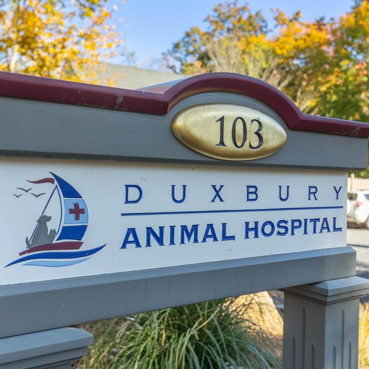 practice gallery photo