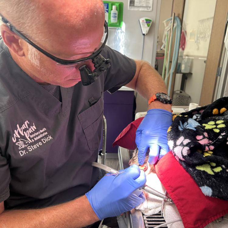 practice gallery photo