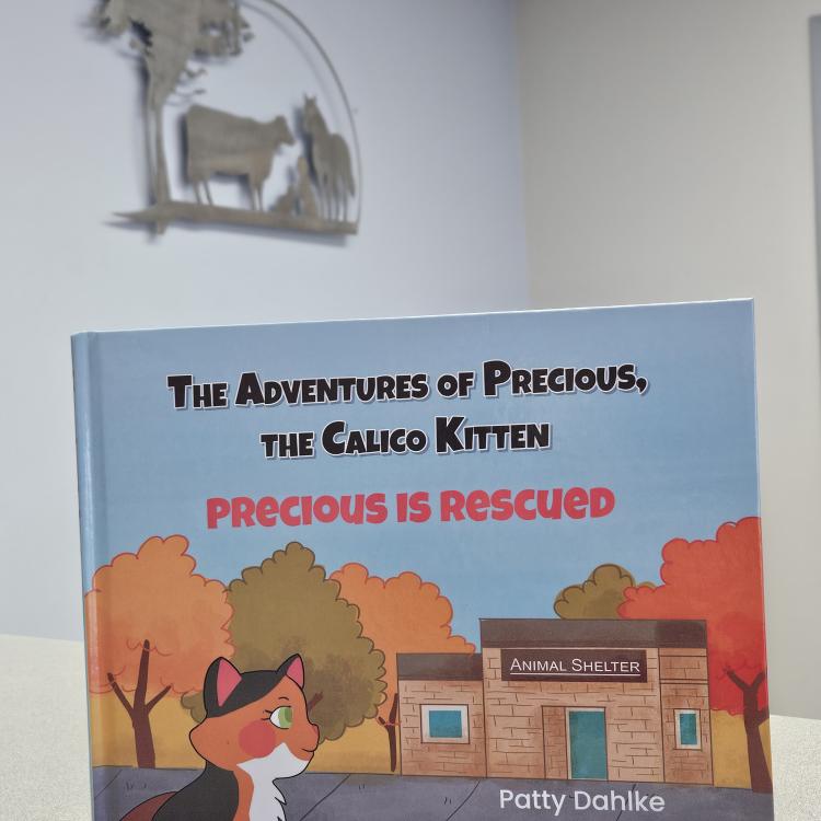 practice gallery photo