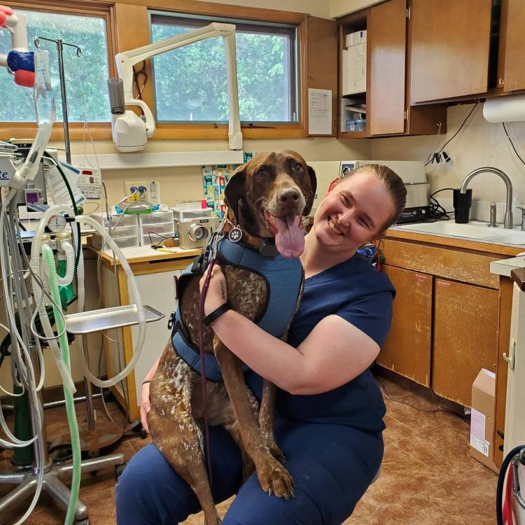 Family Pet Veterinary Center West Des Moines West Des