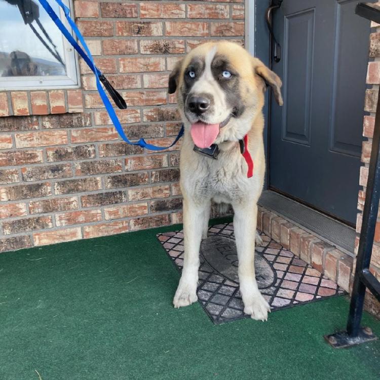 Faribury Veterinary Hospital Fairbury, IL