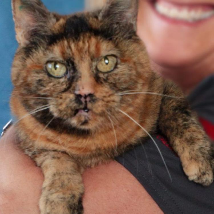 practice gallery photo