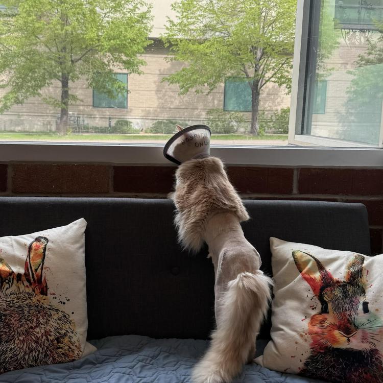 practice gallery photo