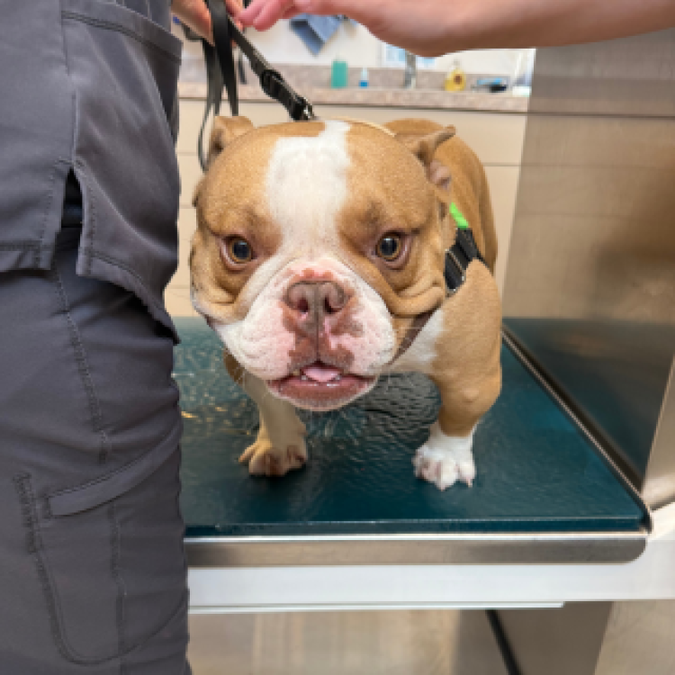 practice gallery photo