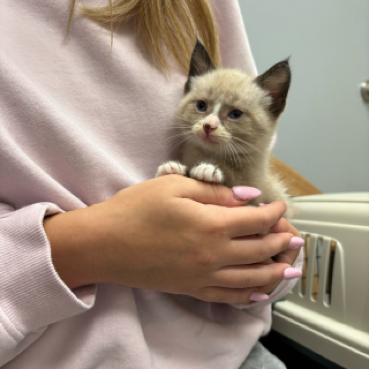 practice gallery photo