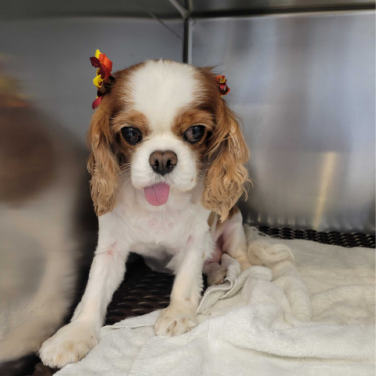 practice gallery photo