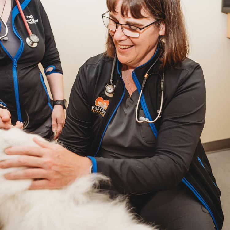 practice gallery photo