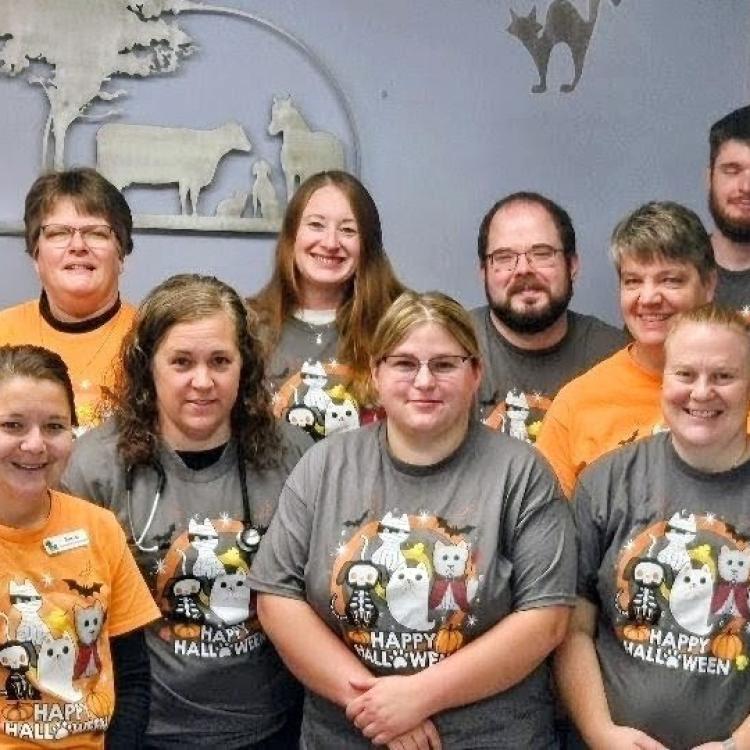 practice gallery photo