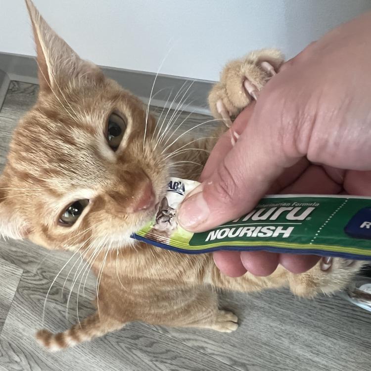 practice gallery photo