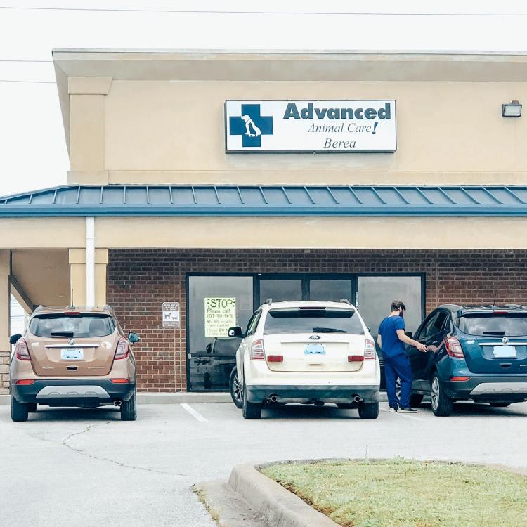 Advanced Animal Care Berea Berea, KY