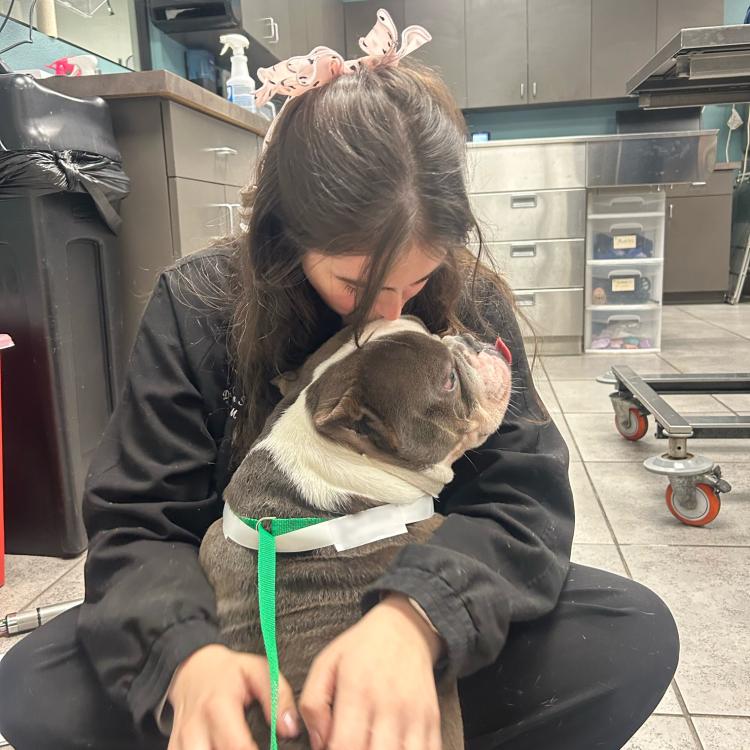 practice gallery photo