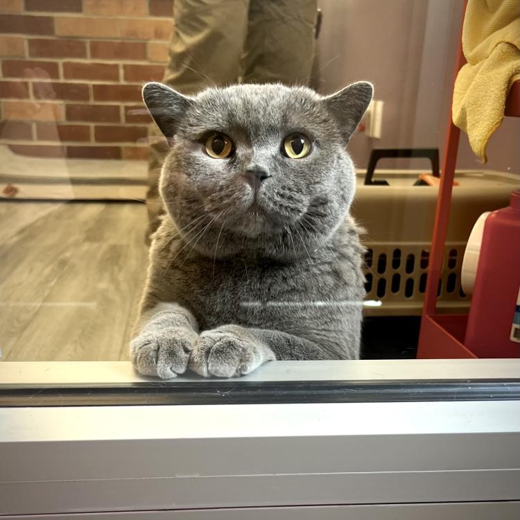 practice gallery photo