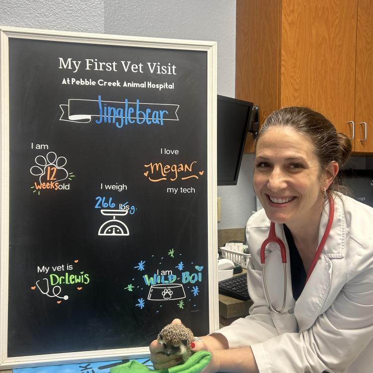 practice gallery photo