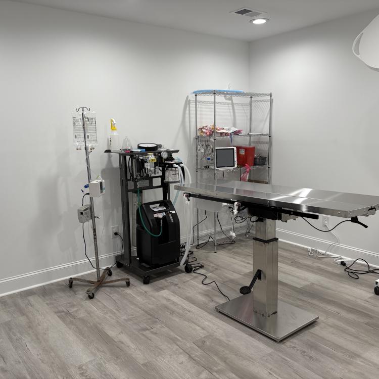 practice gallery photo