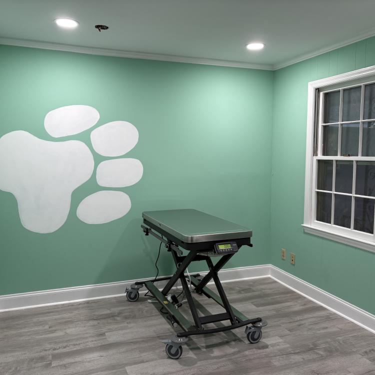 practice gallery photo