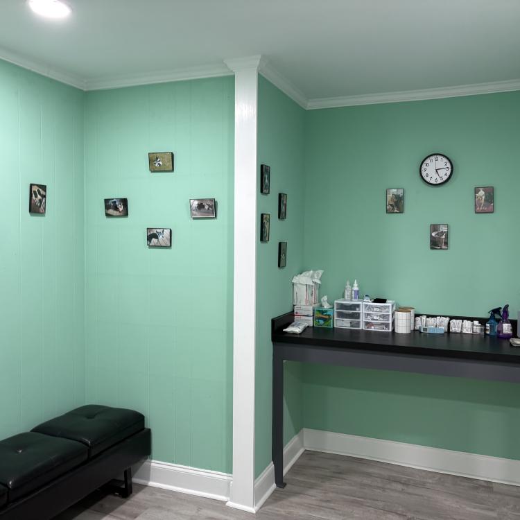 practice gallery photo