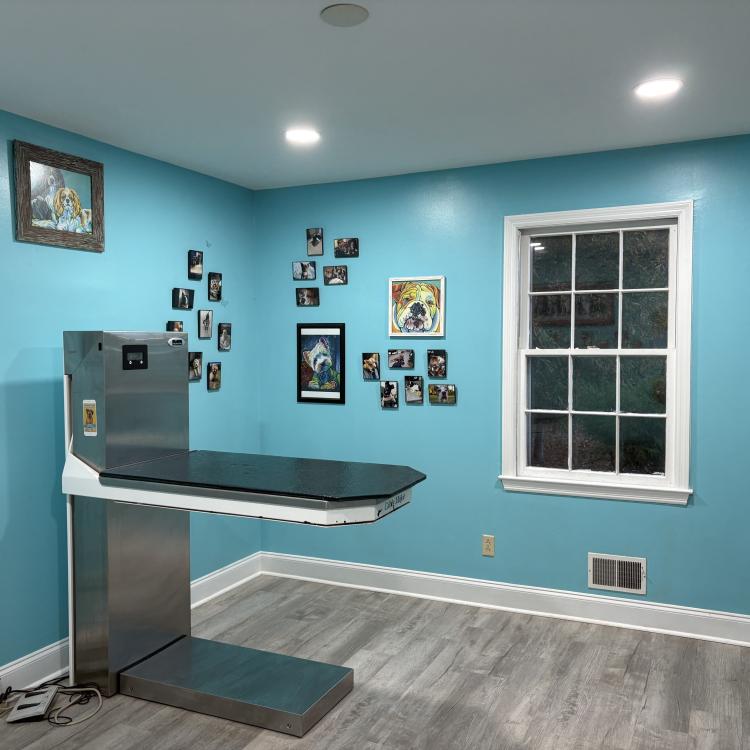 practice gallery photo