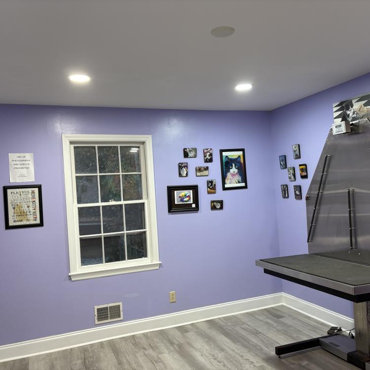 practice gallery photo