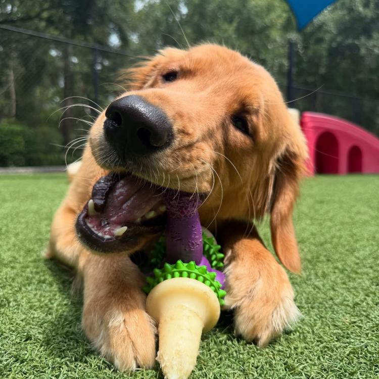 practice gallery photo