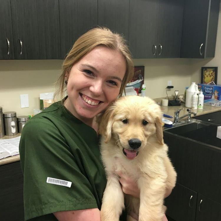 Annotto Bay Veterinary Clinic Issaquah, WA