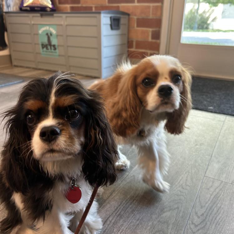 practice gallery photo