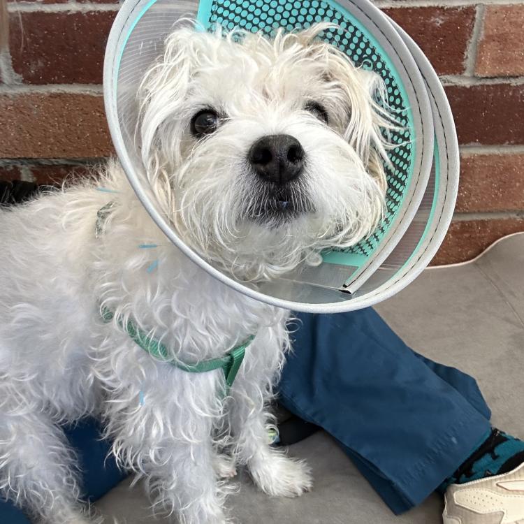 practice gallery photo