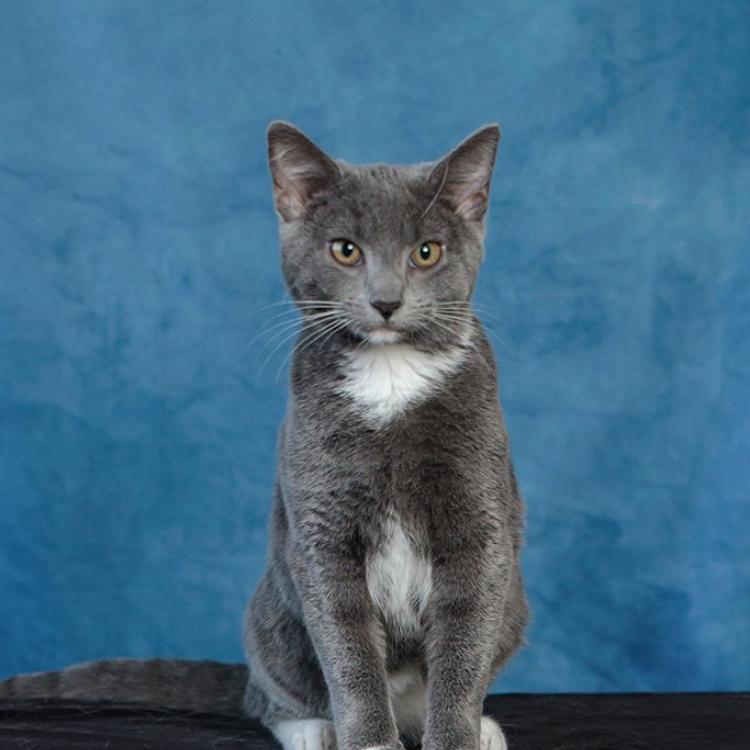 practice gallery photo