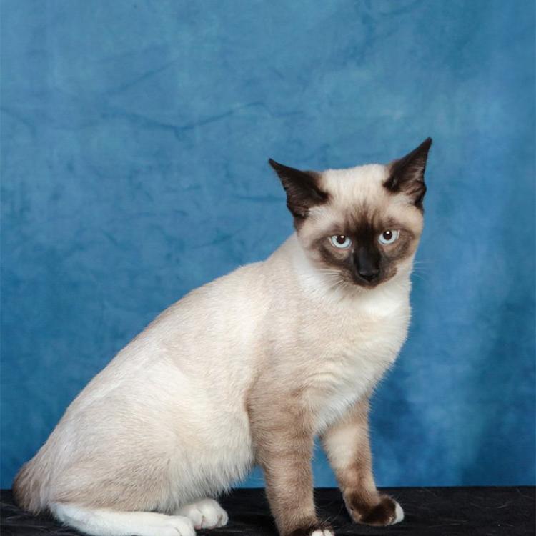 practice gallery photo