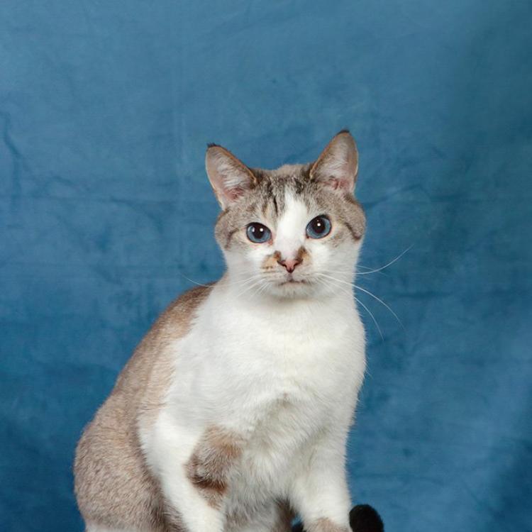 practice gallery photo