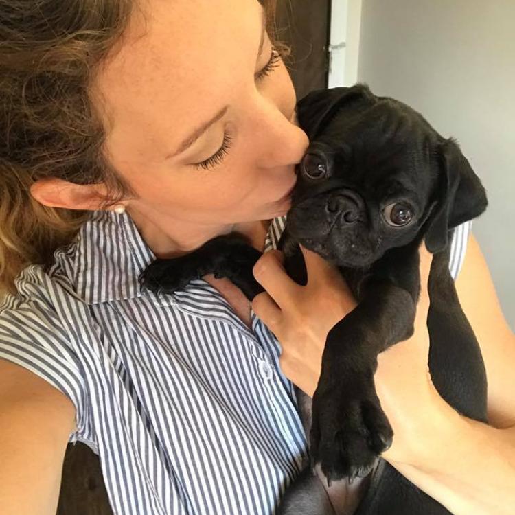 Bliss Veterinary Services OH