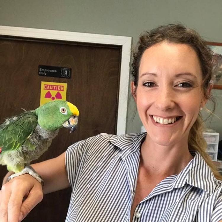 Bliss Veterinary Services OH