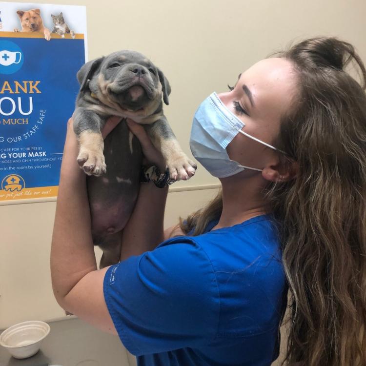 Noah's Ark Animal Clinic – West Chester, OH Noah's Ark Animal Clinic – West Chester, OH