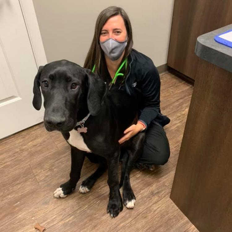 practice gallery photo