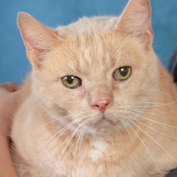 practice gallery photo