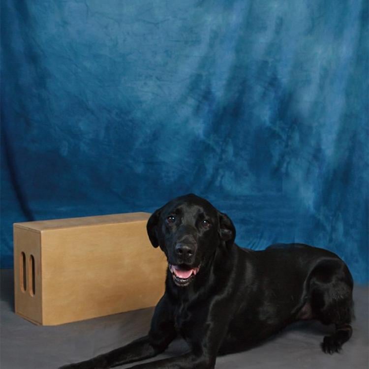 practice gallery photo