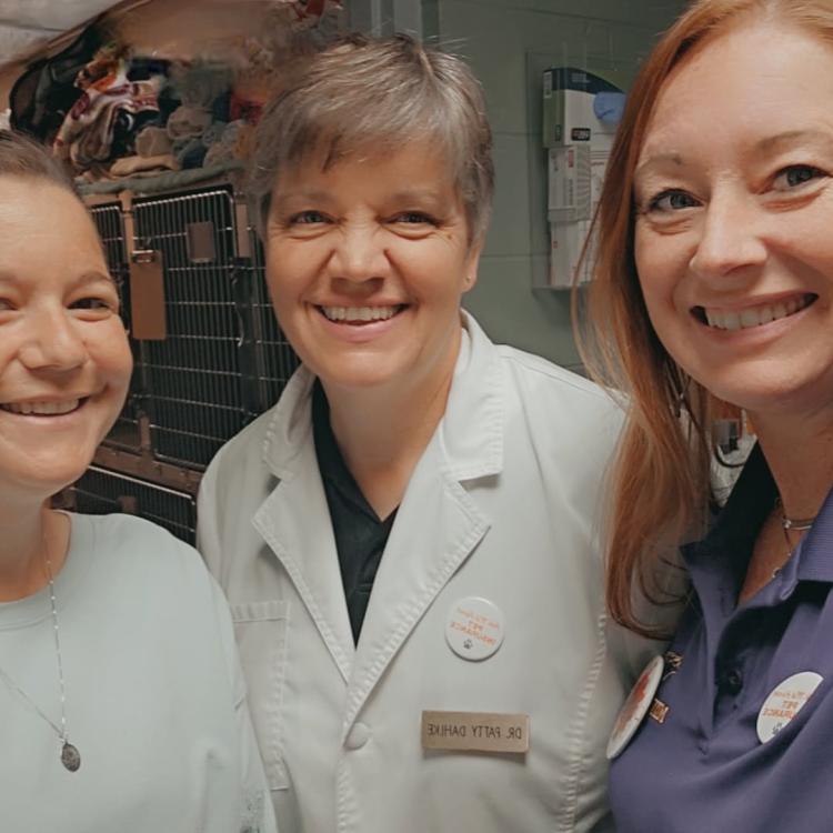 practice gallery photo