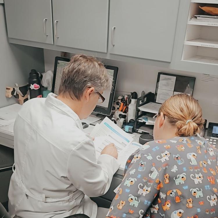 practice gallery photo